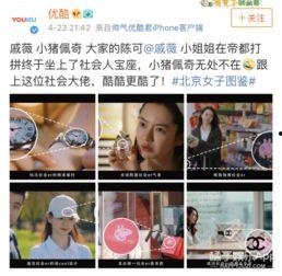 吃瓜猪娱乐视频